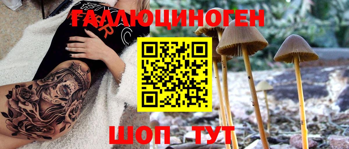 Владивосток  Псилоцибиновые грибы Psilocybe  где можно купить наркотик  Галлюциногенные грибы MAGIC MUSHROOMS  Вход с VPN 